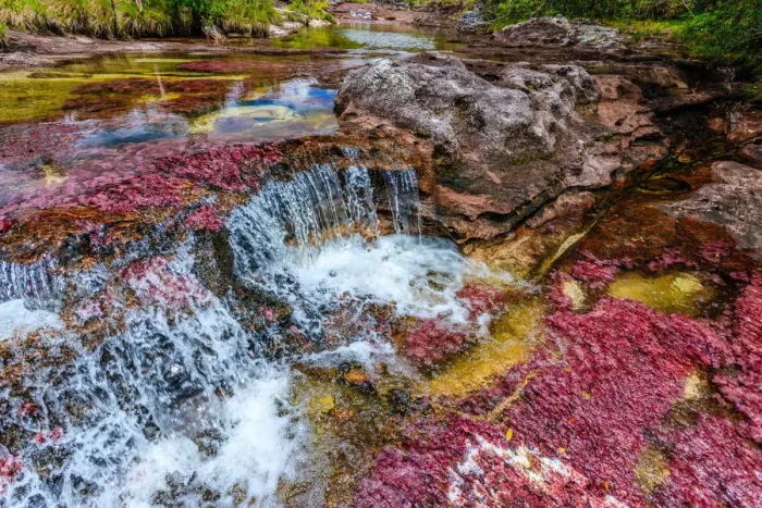 Framed Print : CaAno Cristales, River of Five Colors Framed Print : CaAno Cristales, River of Five Colors