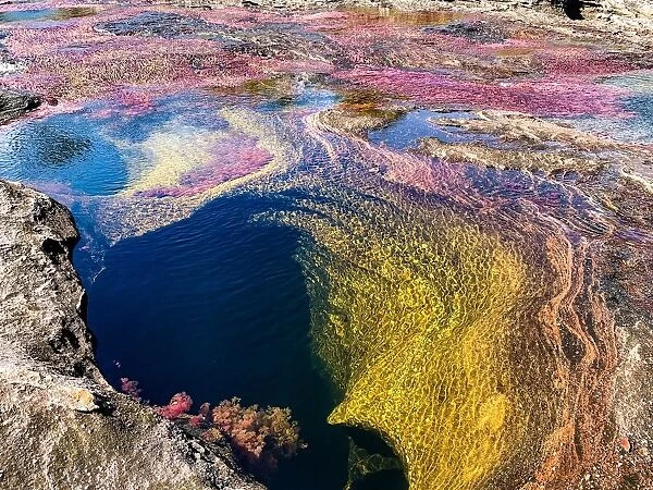 CaAno Cristales, River is Five Colours