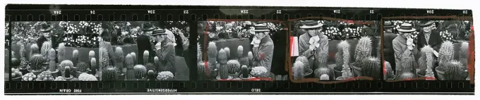 Framed Print : Cactus Hunters Framed Print : Cactus Hunters