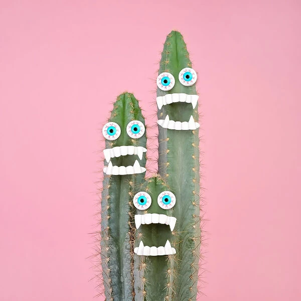 Cactus plant with teeth and eyes