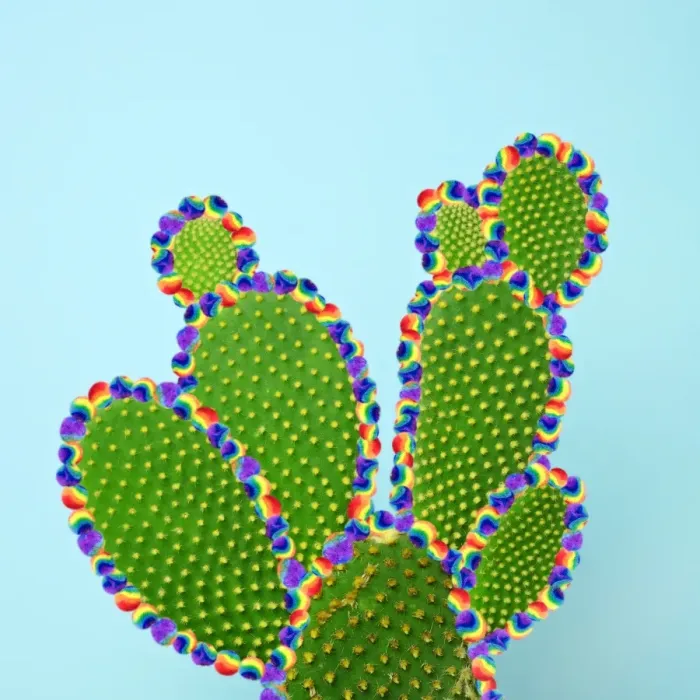 Framed Print : Cactus with Tyedye Puffballs Framed Print : Cactus with Tyedye Puffballs