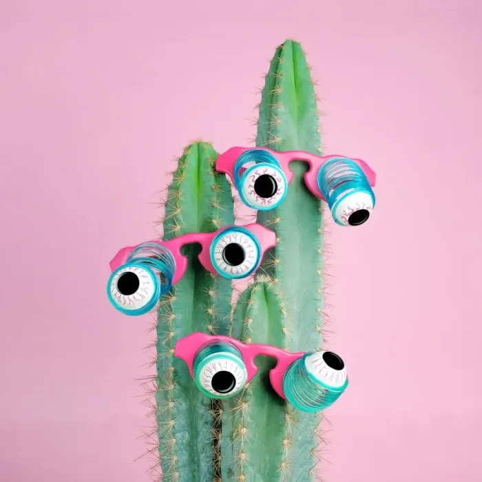 Framed Print : Cactus Wearing Eyeball Glasses Framed Print : Cactus Wearing Eyeball Glasses