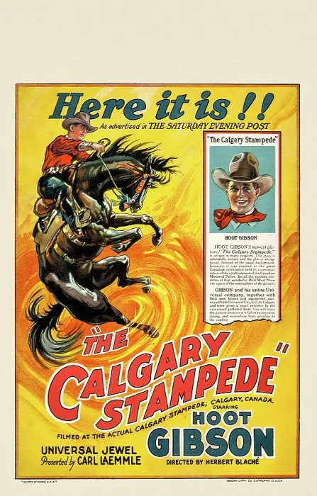 Framed Print : The Calgary Stampede Framed Print : The Calgary Stampede