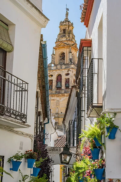 Calleja de las Flores and Old Torre del Alminar Bell Tower, Mezquita, Cordoba, Andalusia