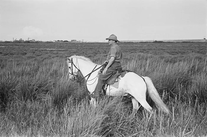 Framed Print : Camargue Cowboys Framed Print : Camargue Cowboys
