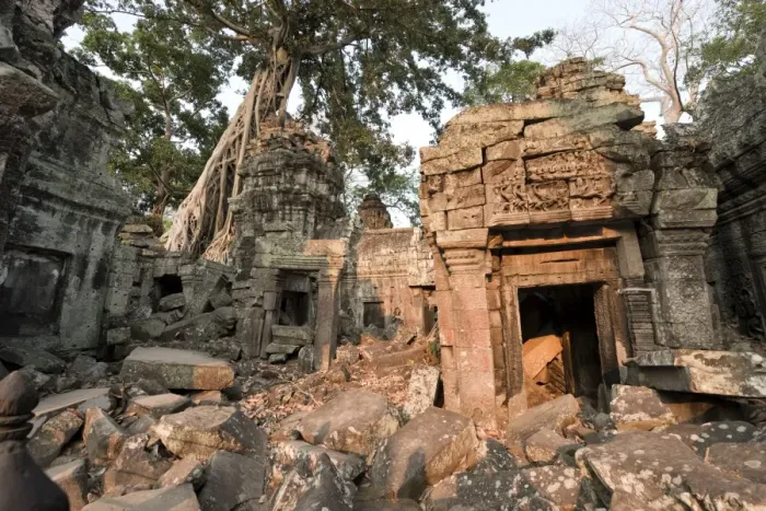 Framed Print : Cambodia, Siem Reap, Angkor Wat, Ta Prohm Temple Framed Print : Cambodia, Siem Reap, Angkor Wat, Ta Prohm Temple