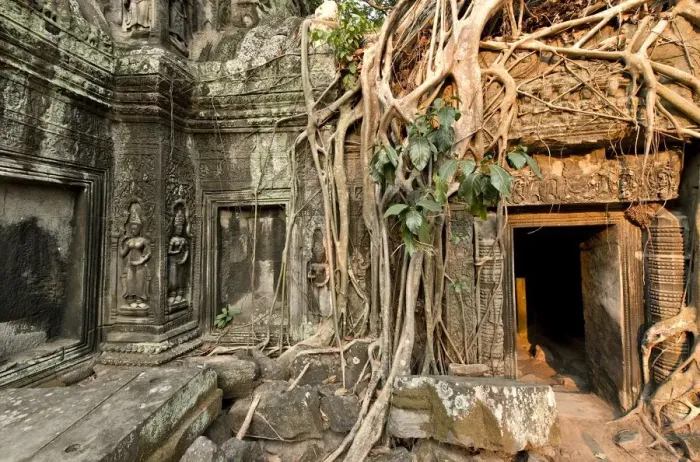 Framed Print : Cambodia, Siem Reap, Angkor Wat, Ta Prohm Temple Framed Print : Cambodia, Siem Reap, Angkor Wat, Ta Prohm Temple
