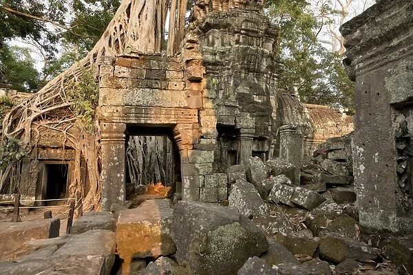 Cambodia, Siem Reap, Angkor Wat, Ta Prohm Temple