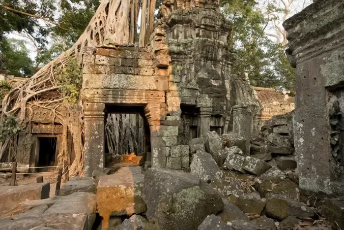 Framed Print : Cambodia, Siem Reap, Angkor Wat, Ta Prohm Temple Framed Print : Cambodia, Siem Reap, Angkor Wat, Ta Prohm Temple