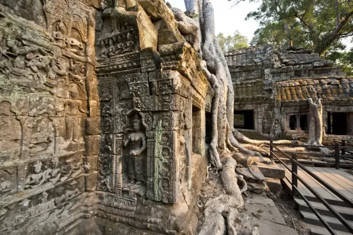 Framed Print : Cambodia, Siem Reap, Angkor Wat, Ta Prohm Temple Framed Print : Cambodia, Siem Reap, Angkor Wat, Ta Prohm Temple