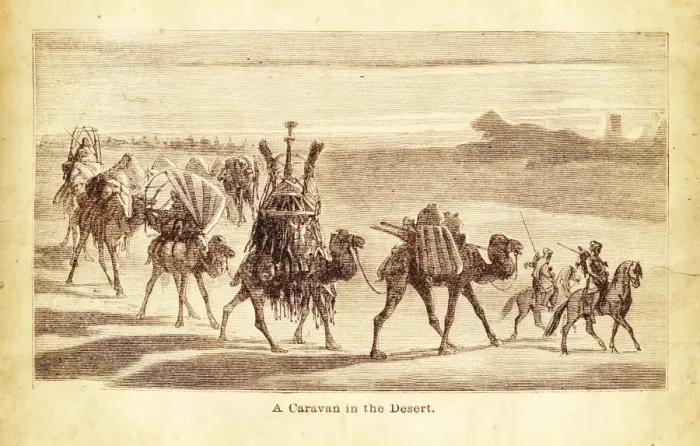 Framed Print : Camel Caravan engraving illustration Framed Print : Camel Caravan engraving illustration