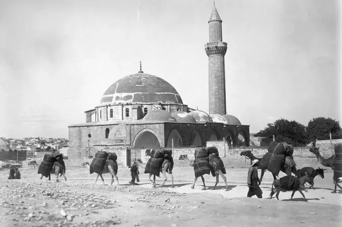 Framed Print : Camel Caravan Passing Outside City Framed Print : Camel Caravan Passing Outside City