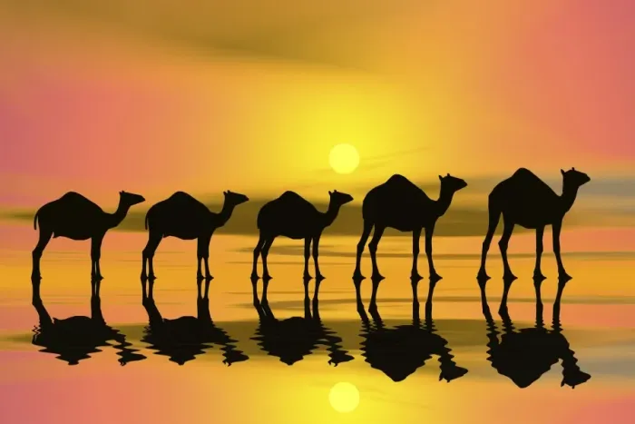 Framed Print : Camel caravan at sunset, silhouette, 3D graphics Framed Print : Camel caravan at sunset, silhouette, 3D graphics