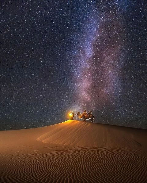 Camel herder under beautiful milky way in Mongolian Gobi desert