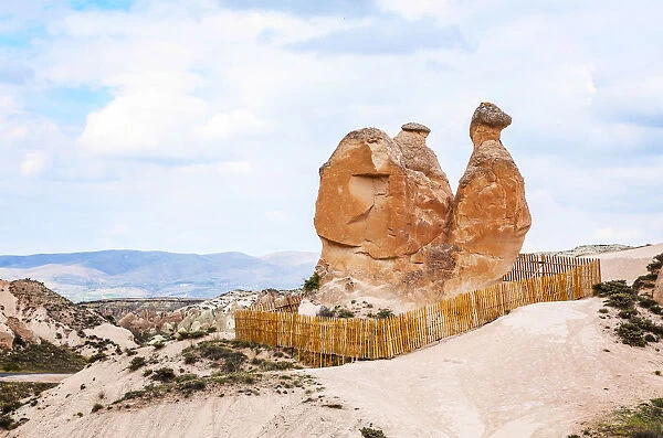 Camel, tufa rock formations some shaped like people and animals, Turkey, Cappadocia