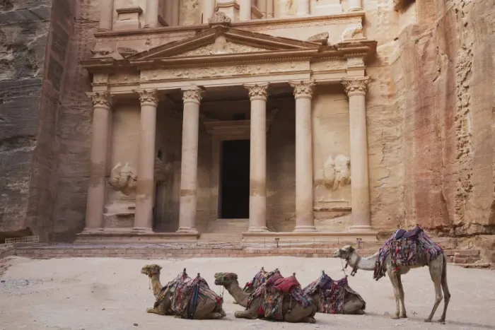 Framed Print : Camels in front of the Treasury Framed Print : Camels in front of the Treasury