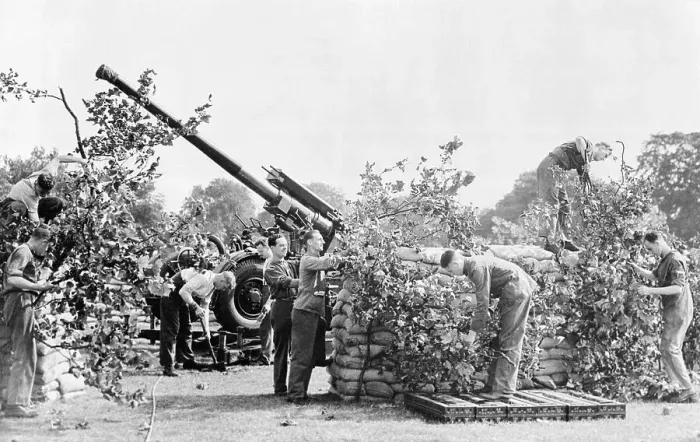 Framed Print : Camouflaged Gun Hidden by the British Framed Print : Camouflaged Gun Hidden by the British