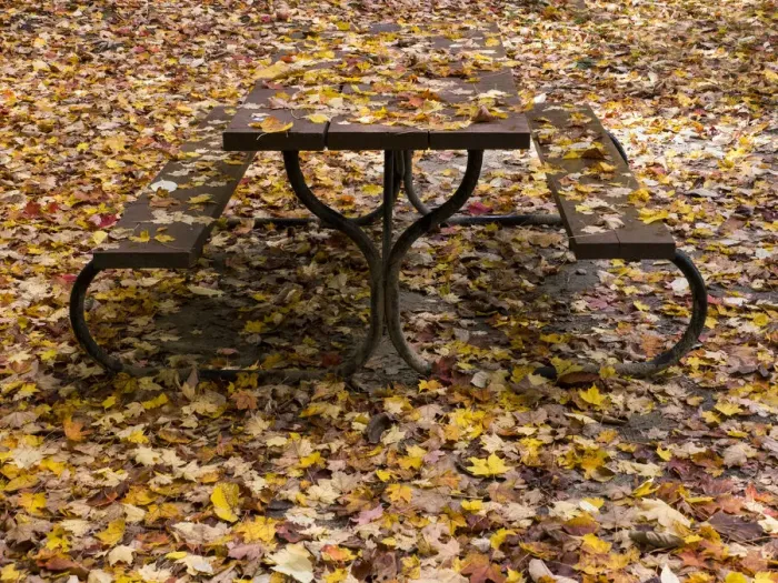 Framed Print : camouflaged pic nic table Framed Print : camouflaged pic nic table