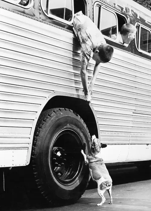 Framed Print : Camp Bound Boy and his Dog Framed Print : Camp Bound Boy and his Dog