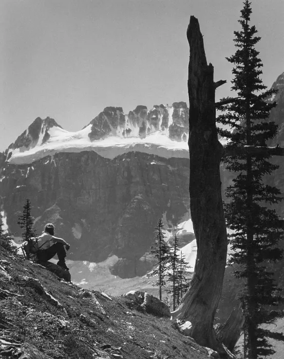 Framed Print : Canadian Rockies Framed Print : Canadian Rockies