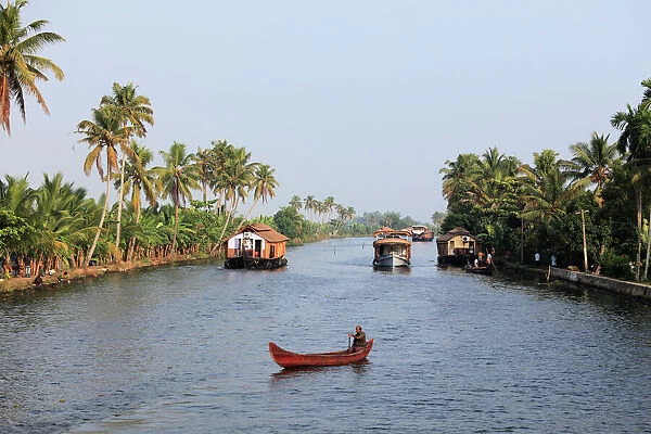 Canal, backwaters of Alleppey, Alappuzha, Kerala, South India, South Asia, Asia