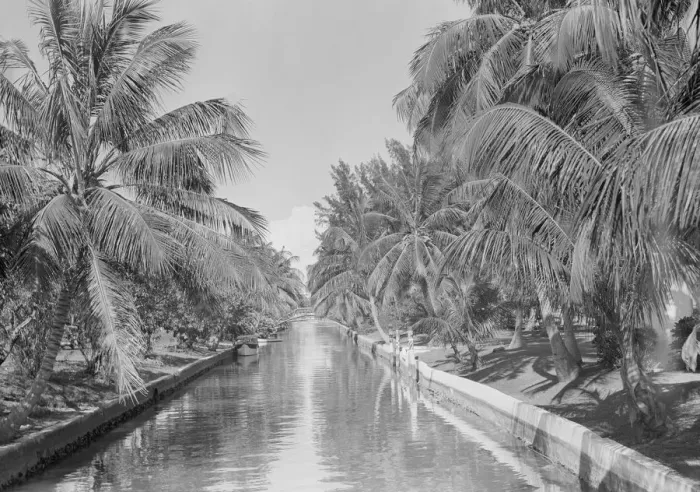 Framed Print : Canal lined with palm trees Framed Print : Canal lined with palm trees