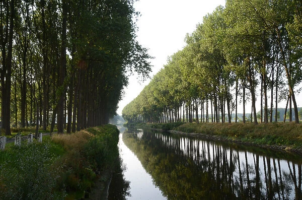 Canals. You can drive along those beautiful tree-lined canals.Behind me were siphons