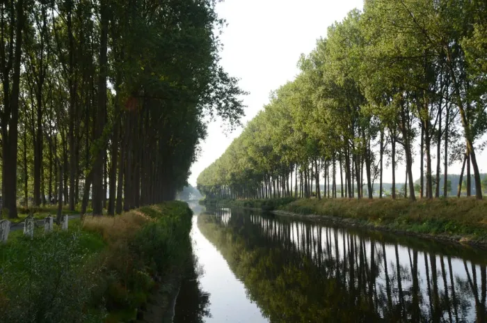 Framed Print : Canals. You can drive along those beautiful tree-lined canals.Behind me were siphons Framed Print : Canals. You can drive along those beautiful tree-lined canals.Behind me were siphons