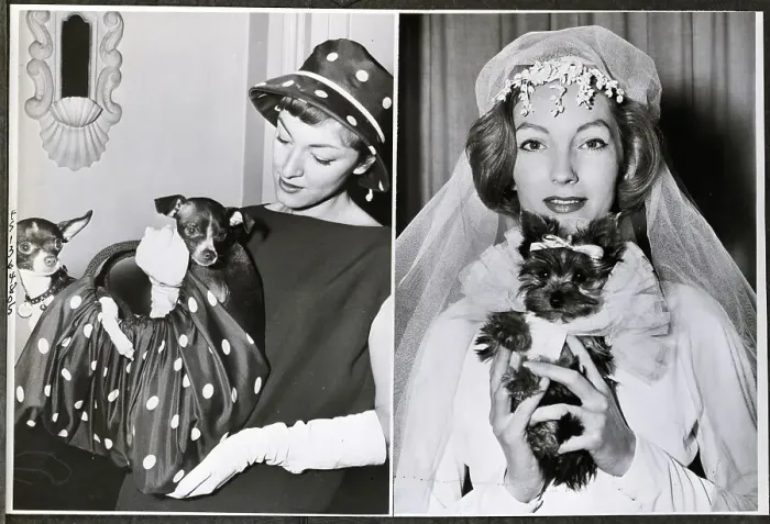 Framed Print : Canines Of High Society With Owners Framed Print : Canines Of High Society With Owners