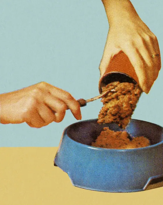 Framed Print : Canned Dog Food Going Into Bowl Framed Print : Canned Dog Food Going Into Bowl