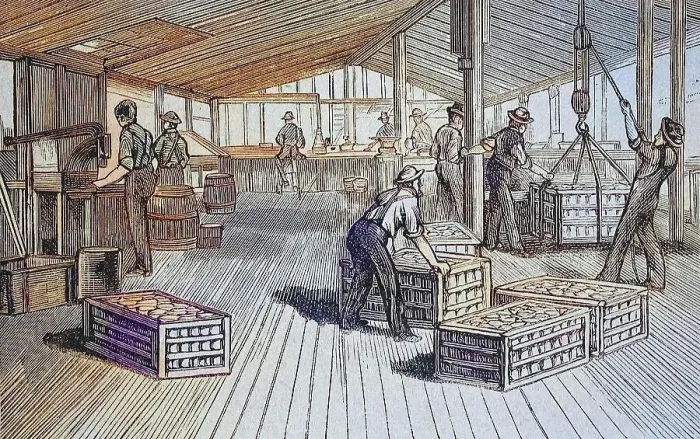 Framed Print : Canning factory of Thurber & Co in Moorestown, around 1880, New Jersey, USA, here the loading of crates with tins, Historic, digitally restored reproduction of a 19th century original Framed Print : Canning factory of Thurber & Co in Moorestown, around 1880, New Jersey, USA, here the loading of crates with tins, Historic, digitally restored reproduction of a 19th century original