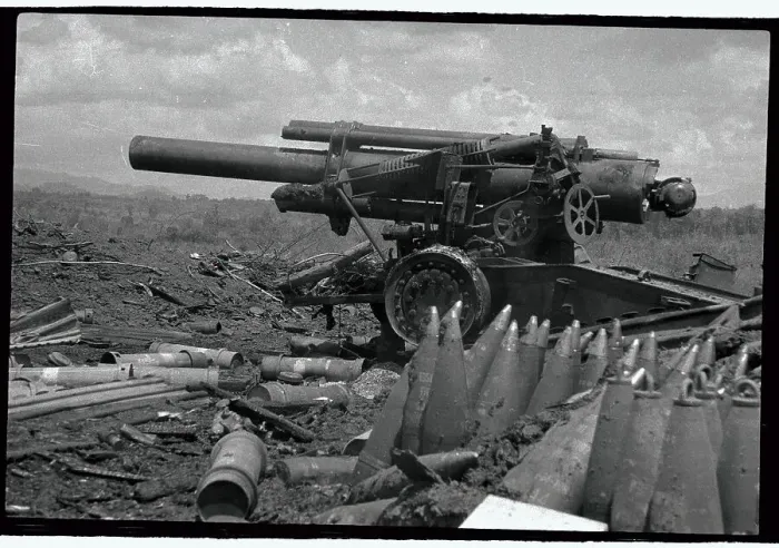 Framed Print : Canons Sitting in Field Framed Print : Canons Sitting in Field