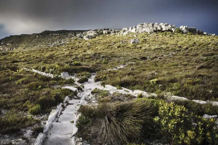 Framed Print : cape town, color image, colour image, day, daytime, field, grass, horizontal, landscape Framed Print : cape town, color image, colour image, day, daytime, field, grass, horizontal, landscape