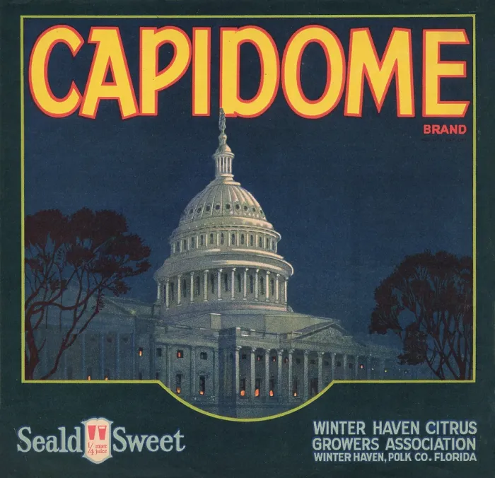 Framed Print : Capidome Brand
