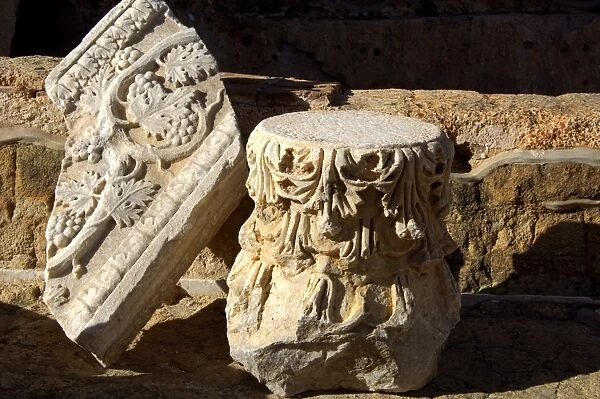 Capital and frieze with vine leaf decoration, Ruins of the Roman Empire, Leptis Magna, Libya
