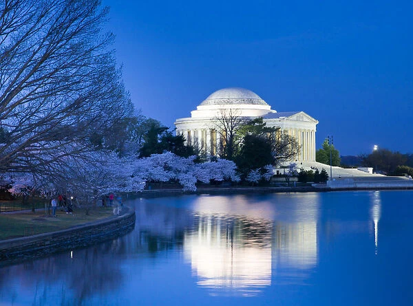 Capitols. Jefferson Memorial Reflection at Dawn with Cherry Blossoms - Washington D.C