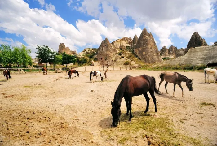 Framed Print : Cappadocia landscape with fairy chimneys and farm Framed Print : Cappadocia landscape with fairy chimneys and farm