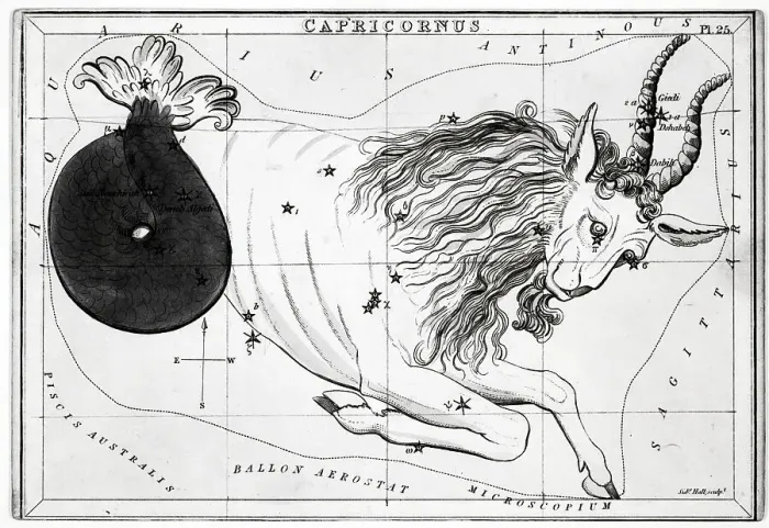 Framed Print : Capricorn Engraved 1 / 2 Goat 1 / 2 Fish Framed Print : Capricorn Engraved 1 / 2 Goat 1 / 2 Fish