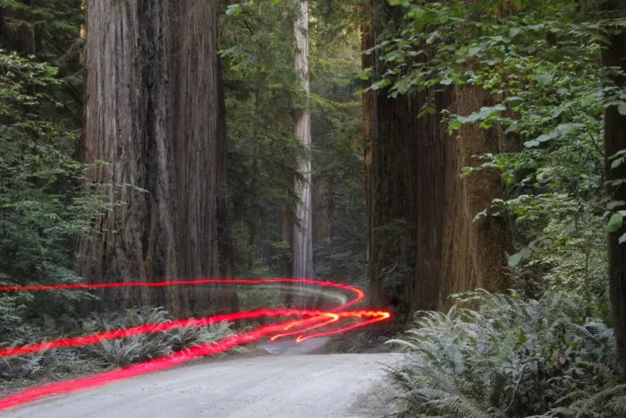 Framed Print : Car lights on a bumpy road, Jedediah Redwoods, California Coast, California, USA Framed Print : Car lights on a bumpy road, Jedediah Redwoods, California Coast, California, USA