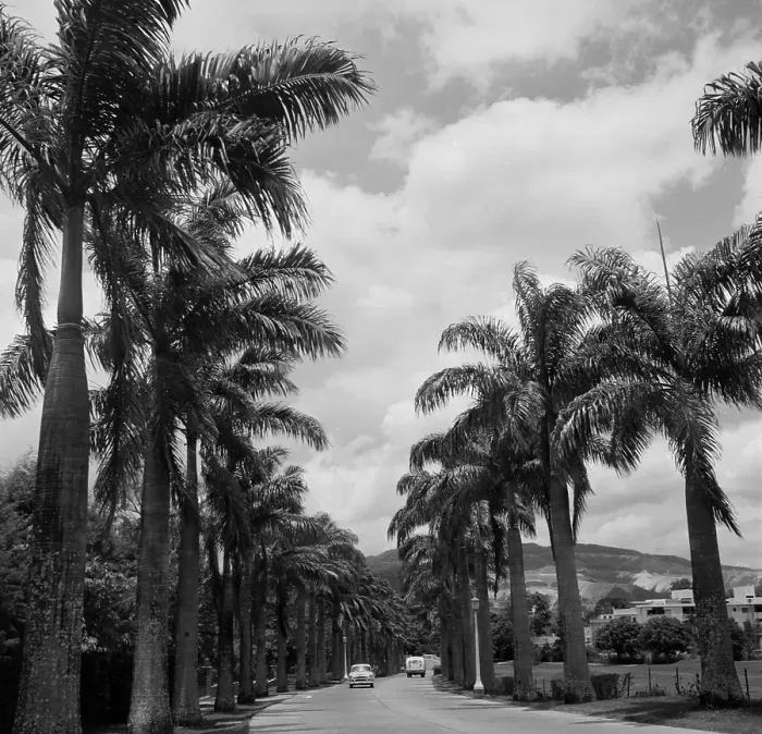 Framed Print : Caracas, Venezuela Framed Print : Caracas, Venezuela