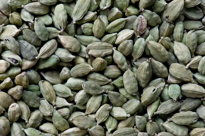 Framed Print : Cardamom, Kerala, India Framed Print : Cardamom, Kerala, India