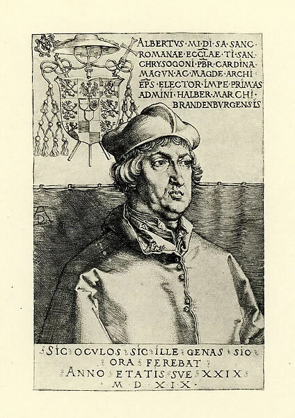 Cardinal Albrecht of Brandenburg