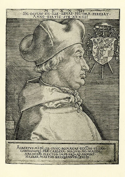 Cardinal Albrecht of Brandenburg
