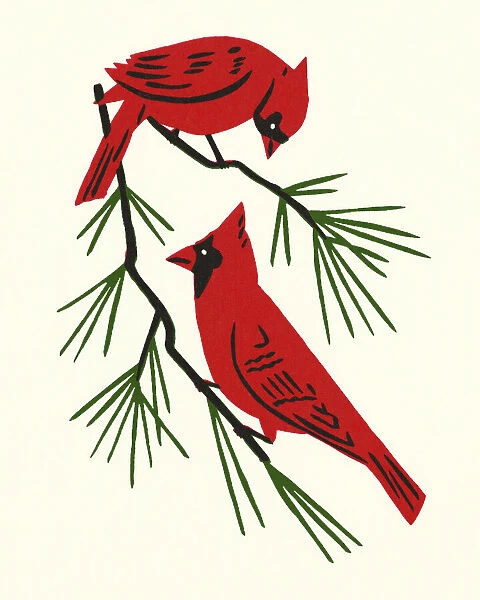 Two Cardinals Perched on a Branch