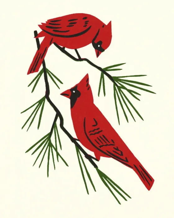 Framed Print : Two Cardinals Perched on a Branch Framed Print : Two Cardinals Perched on a Branch