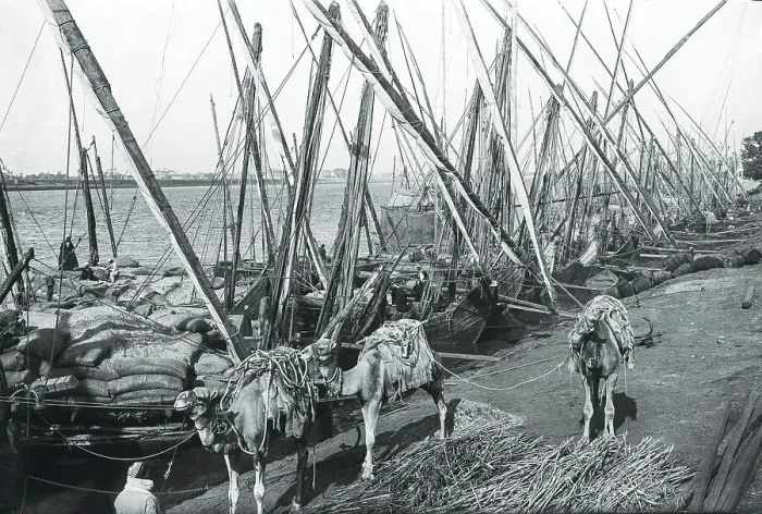 Framed Print : Cargo Boats at Old Cairo Framed Print : Cargo Boats at Old Cairo