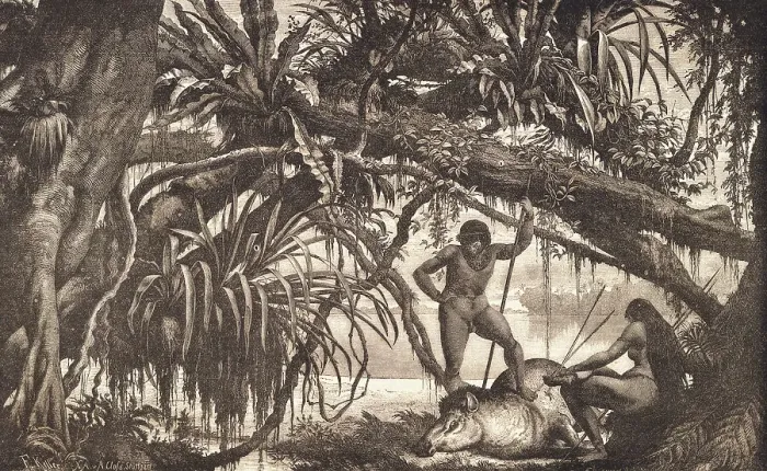 Framed Print : Caripuna Indians Examining Tapir