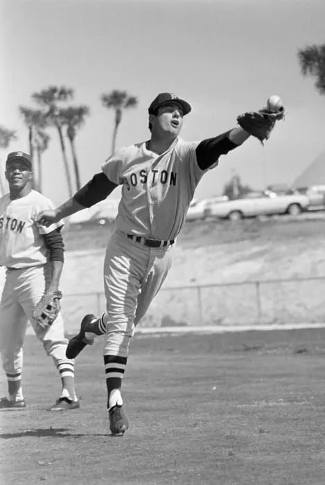 Framed Print : Carl Yastrzemski Reaches To Catch Ball Framed Print : Carl Yastrzemski Reaches To Catch Ball