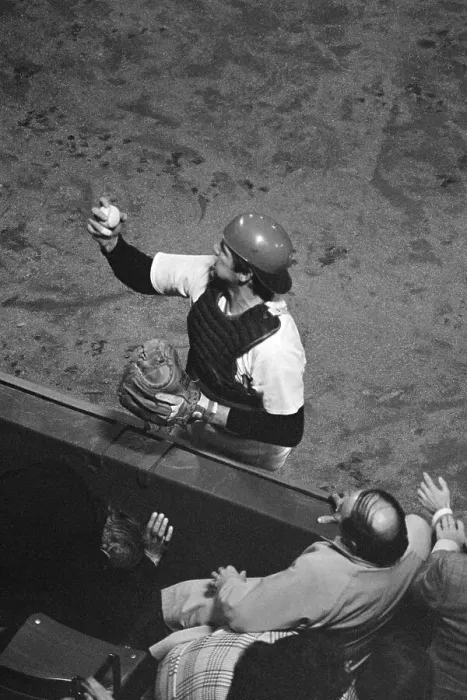 Framed Print : Carlton Fisk Holding Foul Ball Framed Print : Carlton Fisk Holding Foul Ball