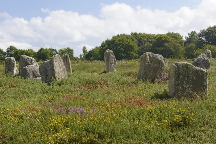 Framed Print : Carnac stones, menhirs near Carnac, Departement Morbihan, Brittany, France Framed Print : Carnac stones, menhirs near Carnac, Departement Morbihan, Brittany, France